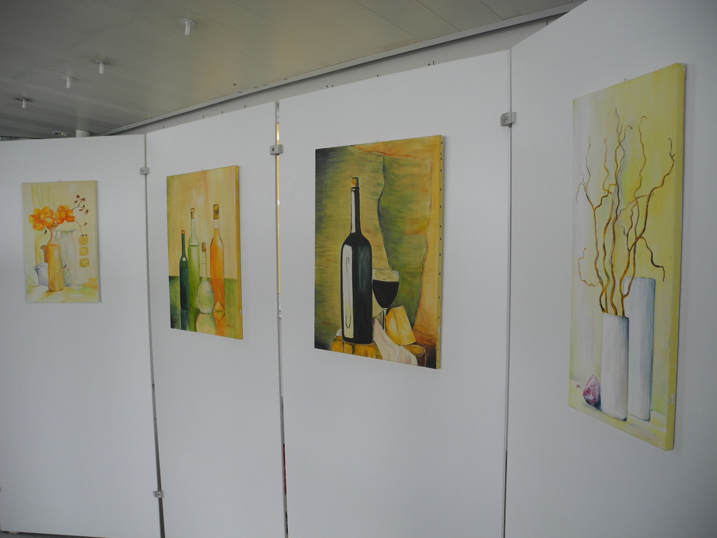 DSCN8008_JPG-1307182837