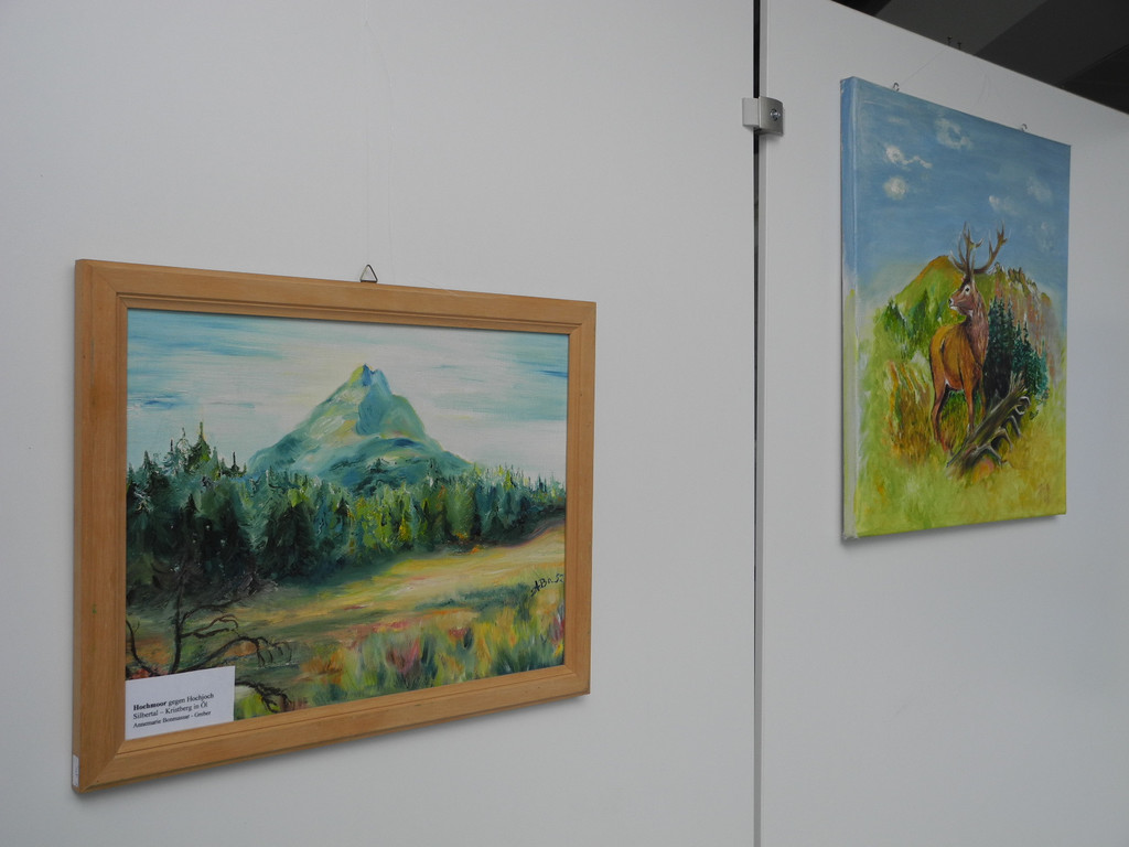 DSCN8012_JPG-1307182863