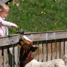 Naturparkfest am Alten Rhein am Sonntag