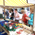 Bilder vom Markt am Leutbühel