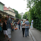 IMG_5031.JPG