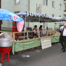 IMG_5033.JPG