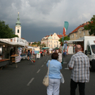 IMG_5038.JPG