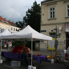 IMG_5041.JPG