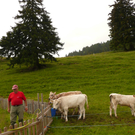 P1080766.JPG