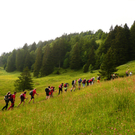 P1080768.JPG
