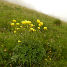 P1080778.JPG
