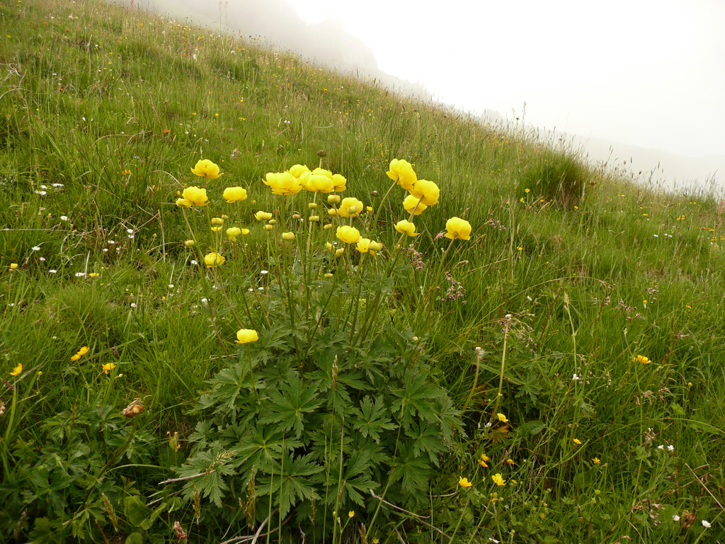 P1080778.JPG