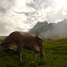 P1080803.JPG