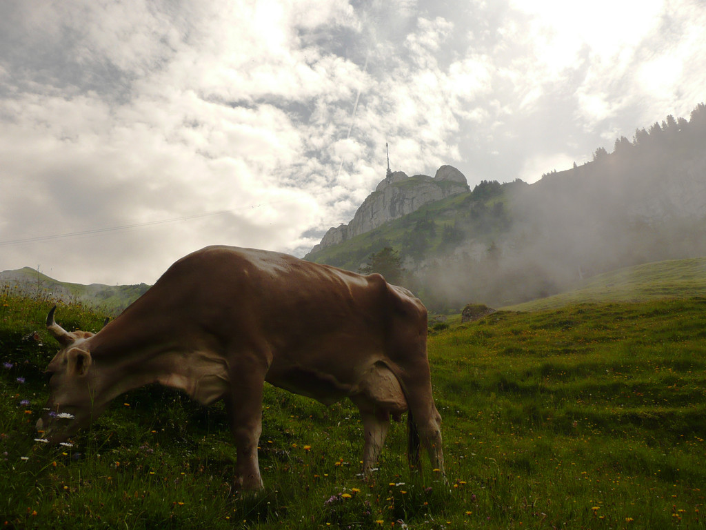 P1080803.JPG