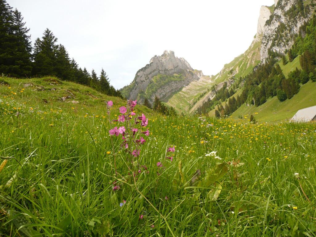 P1080824.JPG