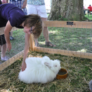 kleintier13_jpg-1307287398