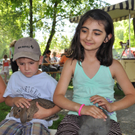 kleintierzucht3_jpg-1307287499