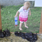 kleintierzucht8_jpg-1307287586