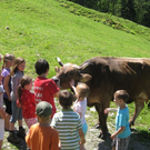Somerwandertag 079.jpg