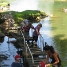 Somerwandertag 088.jpg