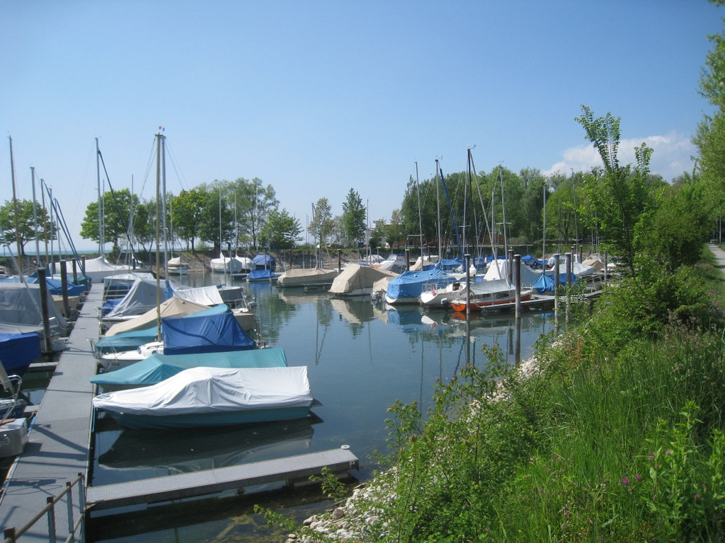 Hafen AUDIT Blauer Anker 2011 _16__jpg-1307300521