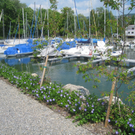 Hafen AUDIT Blauer Anker 2011 _12__jpg-1307300450