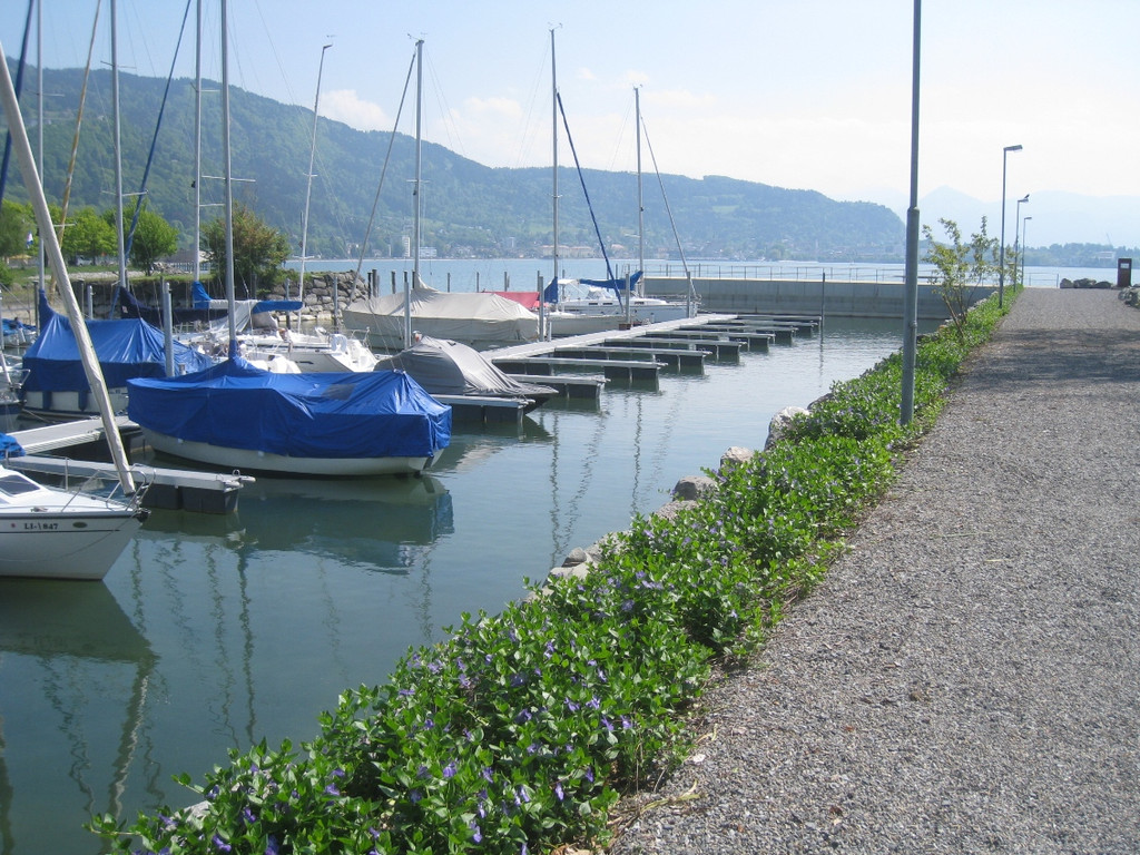 Hafen AUDIT Blauer Anker 2011 _13__jpg-1307300466
