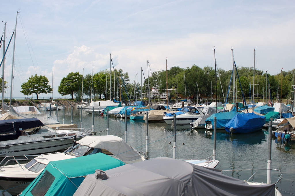 Hafen AUDIT Blauer Anker 2011 _26__jpg-1307300676