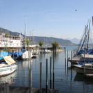 Hafen AUDIT Blauer Anker 2011 _31__jpg-1307300776