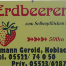 BK_erdbeeren_koblach_jpg-1307307744