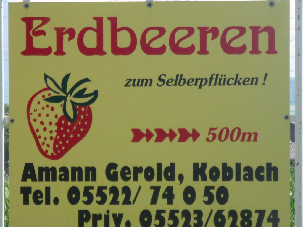 BK_erdbeeren_koblach_jpg-1307307744