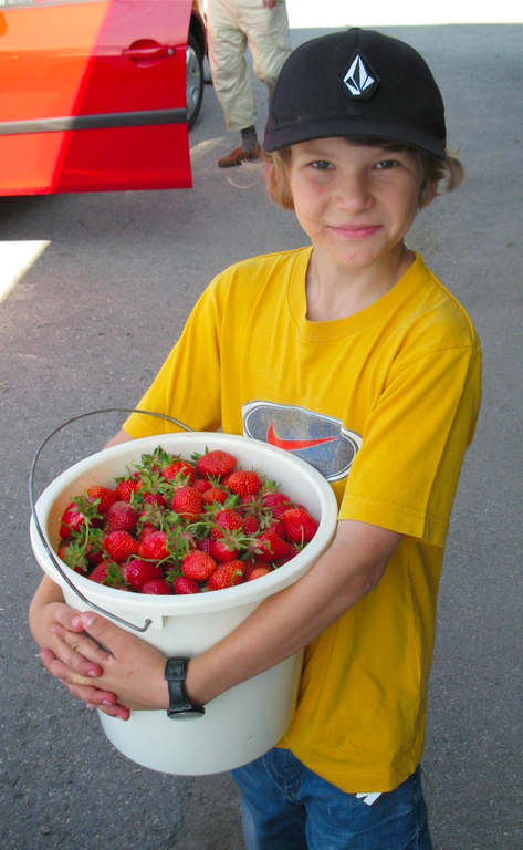 BK_erdbeeren_koblach 34_jpg-1307307738