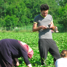 BK_erdbeeren_koblach 12_jpg-1307307649