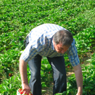 BK_erdbeeren_koblach 25_jpg-1307307700