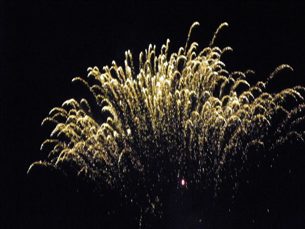 111_3369_JPG-1307312433