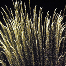 111_3370_JPG-1307312444