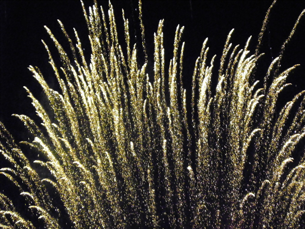 111_3370_JPG-1307312444