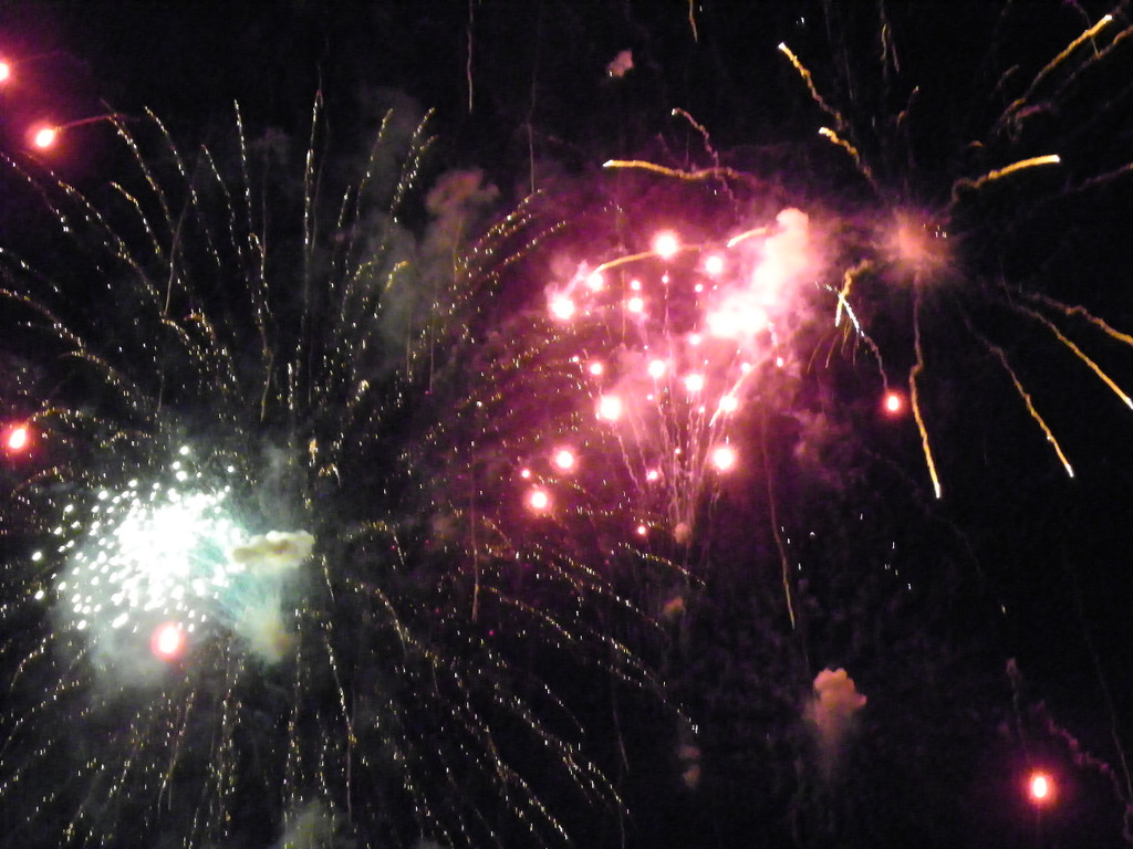 111_3346_JPG-1307312468