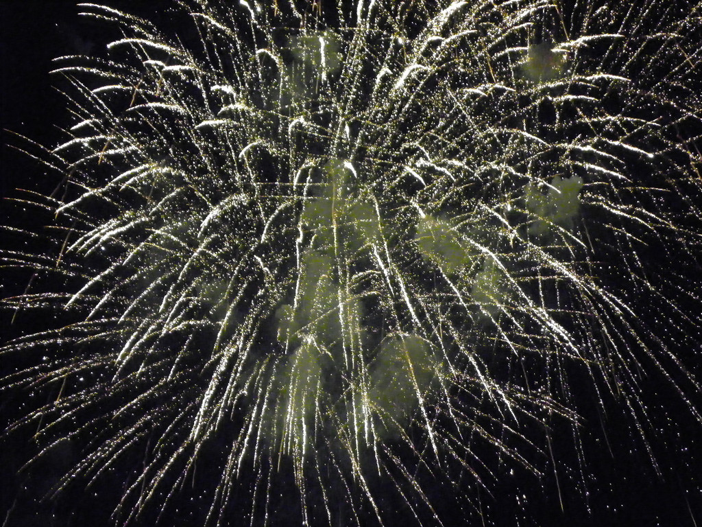 111_3351_JPG-1307312491