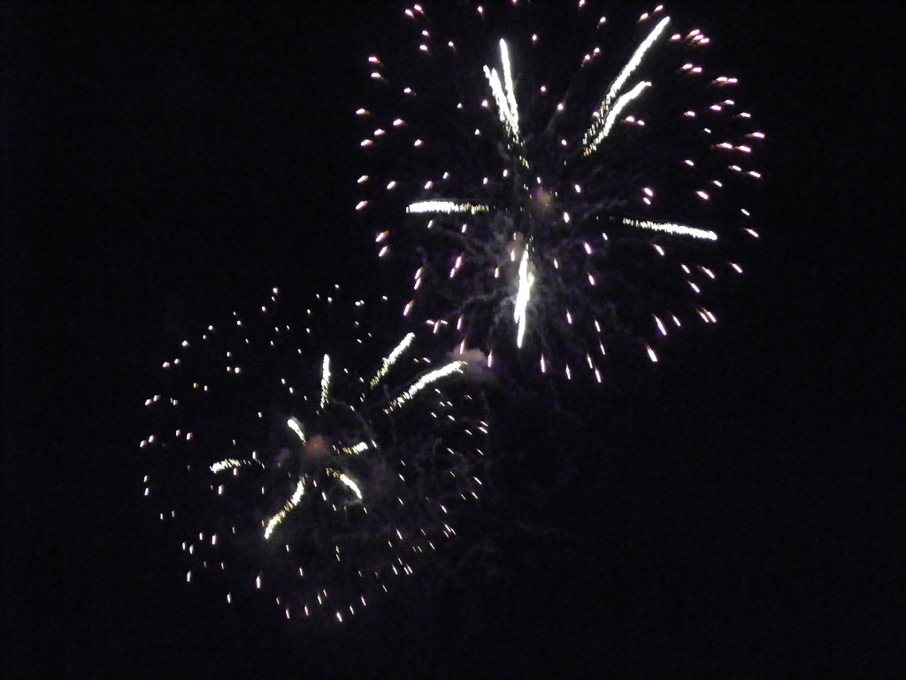 111_3366_JPG-1307312554