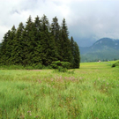 DSC03954_JPG-1307348703