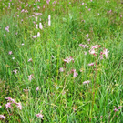 DSC03961_JPG-1307348704