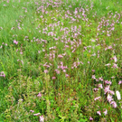 DSC03962_JPG-1307348704