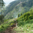 Bilder vom Waldbrand