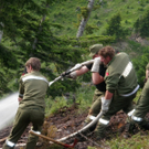 P6040050 _800x600_.jpg