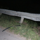 normal_05062011hasenausgewichenfaaktivnews_04.jpg