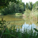 25Lehmgrube_jpg-1307361004