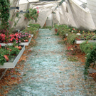 hagel_glashaus-xl.jpg