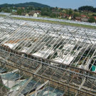 hagel_glashaus_1-xl.jpg