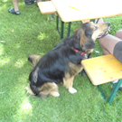 DSC05860.JPG