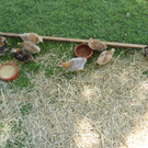 DSC05866.JPG