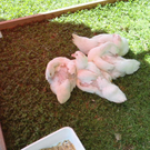 DSC05872.JPG