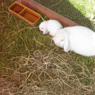 DSC05873.JPG