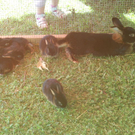 DSC05874.JPG